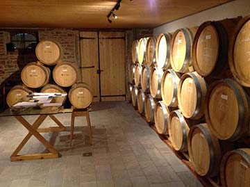 Domaine Auvigue - Mâconnais